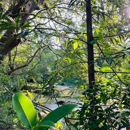 Yala Safari River View Hotel Tissamaharama Ngoại thất bức ảnh