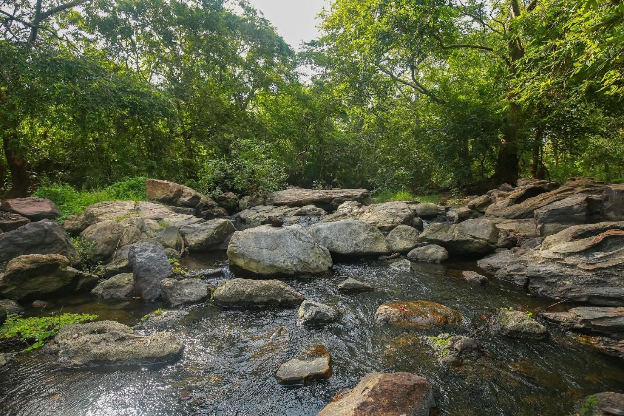 Yala Safari River View Hotel Tissamaharama Ngoại thất bức ảnh