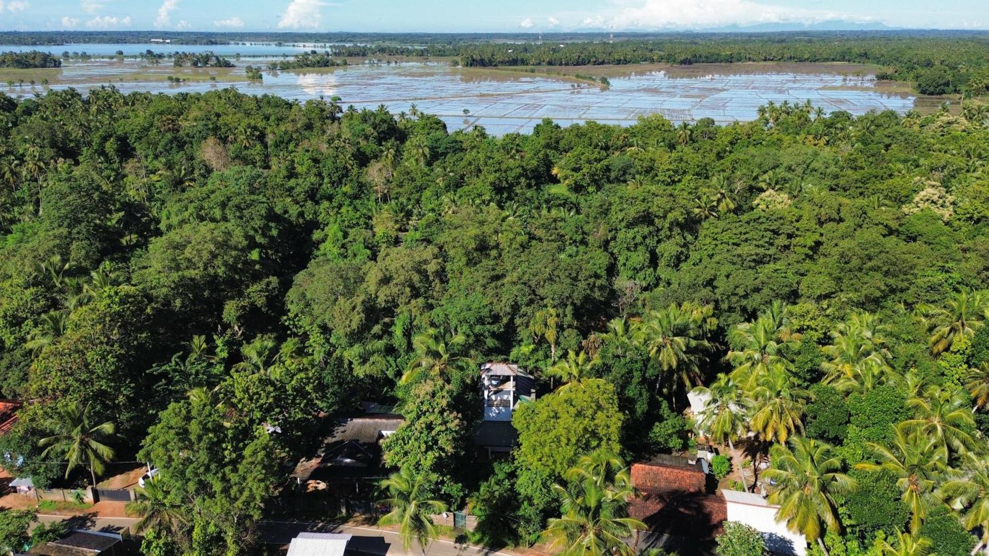 Yala Safari River View Hotel Tissamaharama Ngoại thất bức ảnh