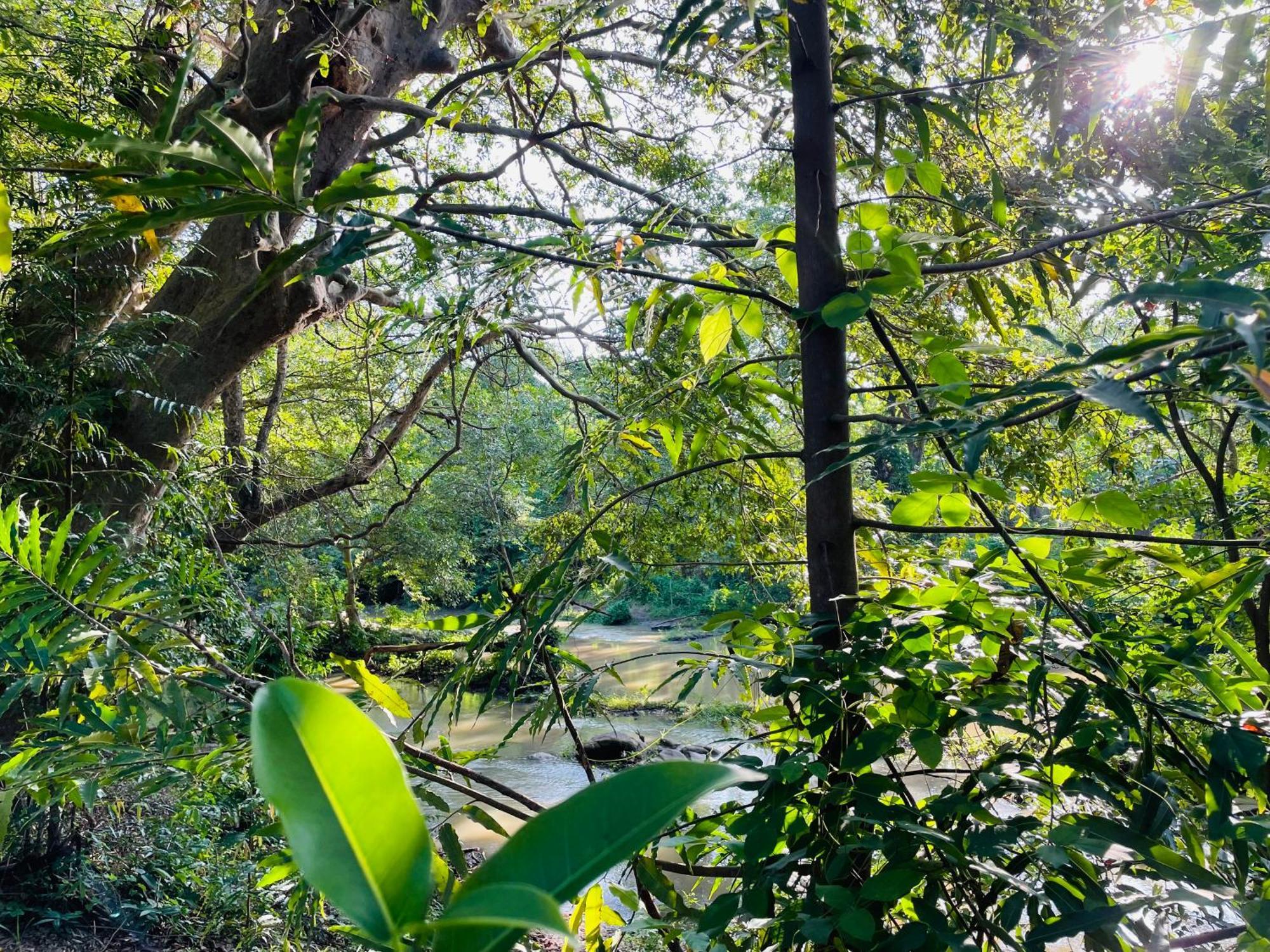 Yala Safari River View Hotel Tissamaharama Ngoại thất bức ảnh