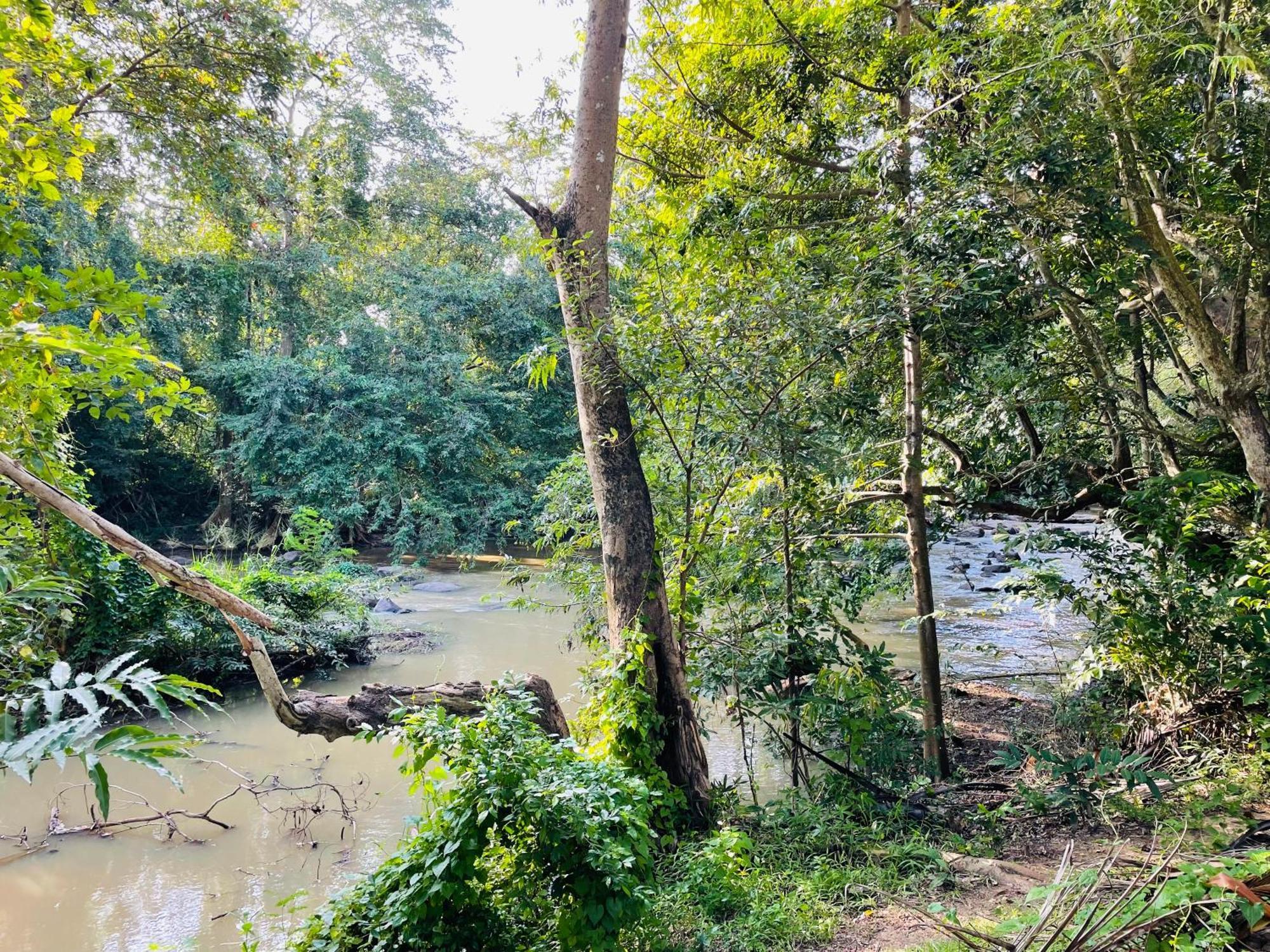 Yala Safari River View Hotel Tissamaharama Ngoại thất bức ảnh