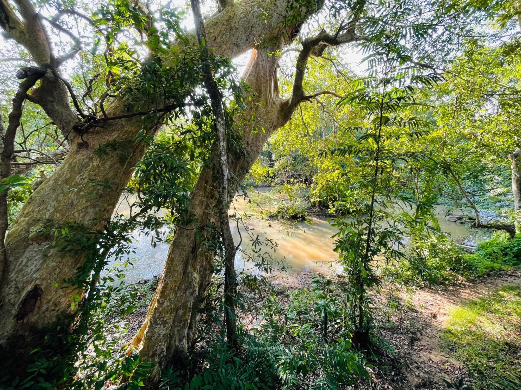 Yala Safari River View Hotel Tissamaharama Ngoại thất bức ảnh