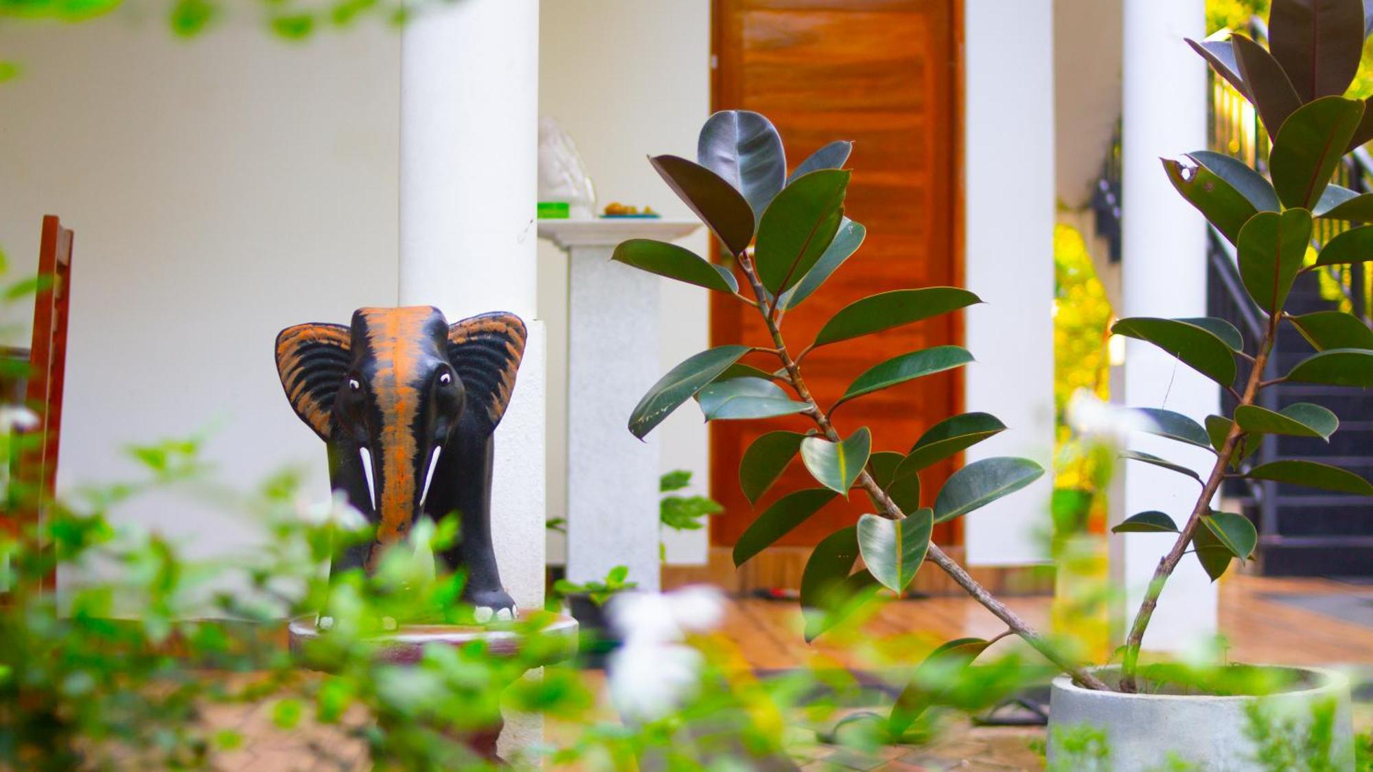 Yala Safari River View Hotel Tissamaharama Ngoại thất bức ảnh