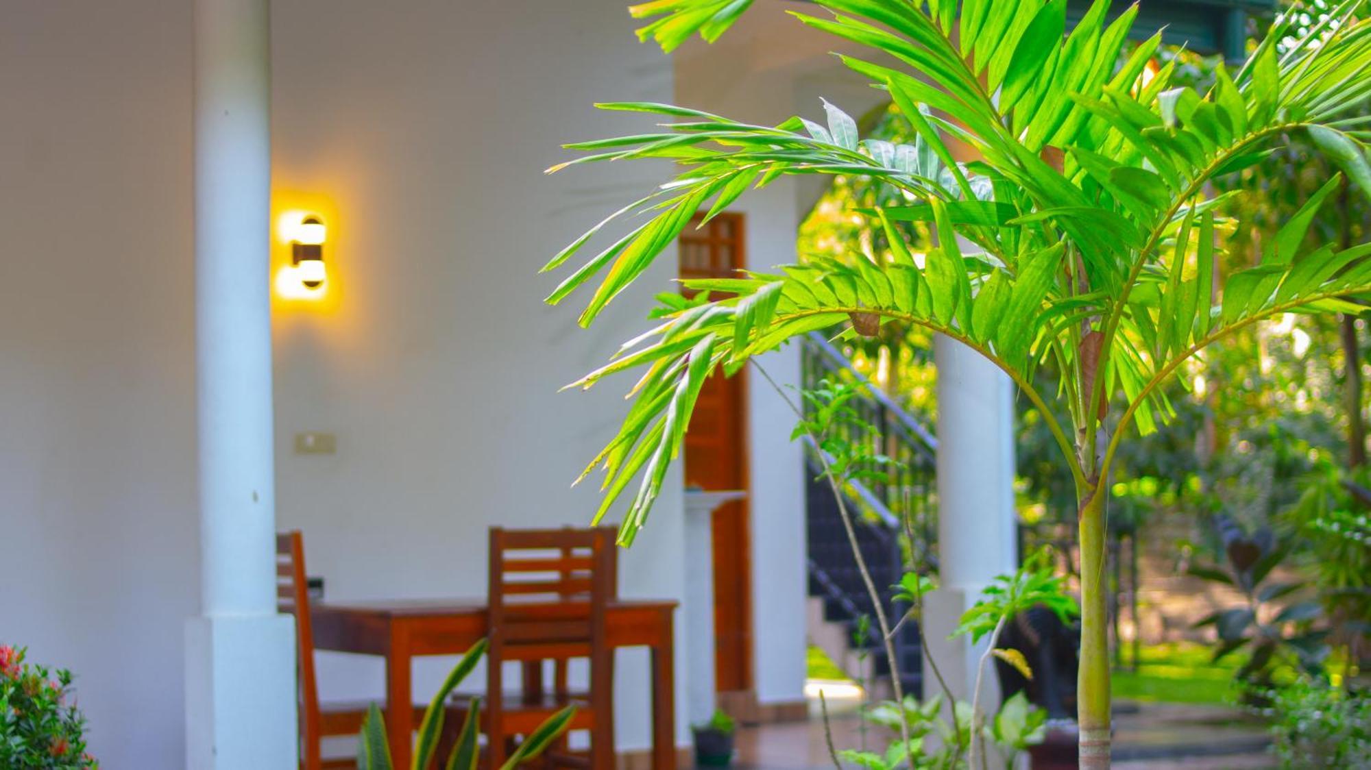 Yala Safari River View Hotel Tissamaharama Ngoại thất bức ảnh